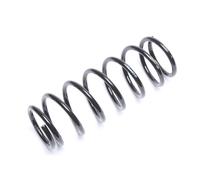 Molla ammortizzatore posteriore ricambio Coil spring per Suzuki Alto