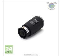 Molla autotelaio Arnott Posteriore Dx Destro per BMW 5 E39 540 530 528 525 523