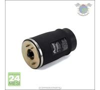 Molla autotelaio Arnott Posteriore Dx Destro per BMW X5 E53 4.8 4.6 4.4 3.0 #iq