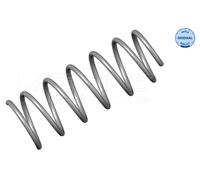 Molla autotelaio Assale anteriore per BMW 5