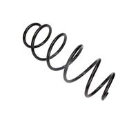 Molla autotelaio Assale anteriore per CITROËN C2