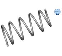 MEYLE Molla di Sospensione Molla Spirale Frontale Adatto A per Renault Megane I