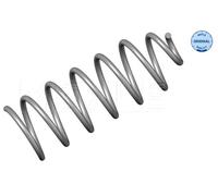 Molla autotelaio Assale anteriore per VW GOLF VENTO