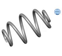 Molla autotelaio Assale posteriore per BMW 3