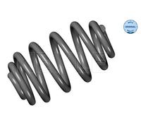 Molla autotelaio Assale posteriore per BMW X3
