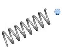 Molla autotelaio Assale posteriore per FORD FOCUS C-MAX