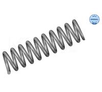 Molla autotelaio Assale posteriore per MERCEDES-BENZ 124 CLASSE E