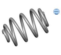 Molla autotelaio Assale posteriore per OPEL VAUXHALL OMEGA