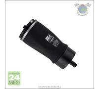 Molla autotelaio Bilstein Posteriore per LAND ROVER RANGE IV II DISCOVERY V