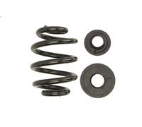 Molla autotelaio LESJOFORS 4295019 per TRANSPORTER T4 Furgone 2 1990-2003