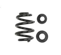 Molla del telaio MAGNUM TECHNOLOGY SW116MT