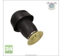 Molla autotelaio Maxgear Posteriore per BMW X6 F16 F86 xDrive E71 E72 ActiveHyb