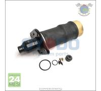 Molla autotelaio Oyodo Posteriore Dx Destro per AUDI ALLROAD A6