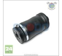 Molla autotelaio Oyodo Posteriore per MERCEDES CLASSE GL 500 450 420 400 350 32
