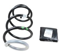 Molla bobina sospensione anteriore anteriore originale Renault Scenic III 540...