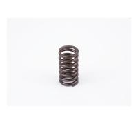 Molla Bosch 2434614017 per Fiat Iveco Magirus Deutz Magirus Deutz Renault