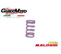 Molla Di Contrasto Viola Variatore MALOSSI GILERA EASY MOVING 50 2T