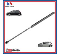 Molla Del Bagagliaio Posteriore Per Peugeot 207 (2006-2014) 1615076680 8731XQ