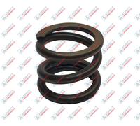 Molla del rotore Bosch Rexroth A4VG56 R909436102
