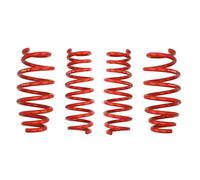 Molla del telaio EIBACH Pro-Kit E10-10-005-03-22