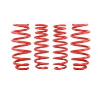Molla del telaio EIBACH Pro-Kit E10-10-005-04-22