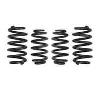 Molla del telaio EIBACH Pro-Kit E10-15-003-12-22
