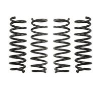 Molla del telaio EIBACH Pro-Kit E10-20-001-02-22