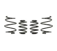Molla del telaio EIBACH Pro-Kit E10-20-010-01-22