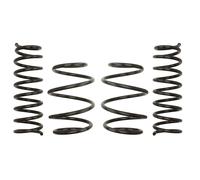 Molla del telaio EIBACH Pro-Kit E10-20-011-01-22
