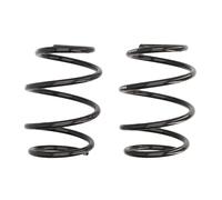 Molla del telaio EIBACH Pro-Kit E10-20-011-05-20