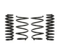 Molla del telaio EIBACH Pro-Kit E10-20-014-01-22