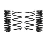 Molla del telaio EIBACH Pro-Kit E10-20-014-06-22