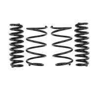 Molla del telaio EIBACH Pro-Kit E10-20-014-13-22