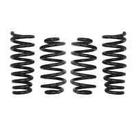 Molla del telaio EIBACH Pro-Kit E10-20-015-01-22