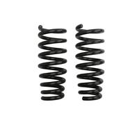 Molla del telaio EIBACH Pro-Kit E10-20-015-02-20