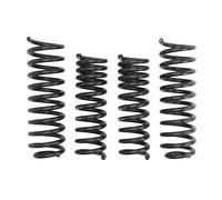 Molla del telaio EIBACH Pro-Kit E10-25-008-02-22