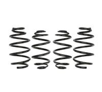 Molla del telaio EIBACH Pro-Kit E10-65-019-02-22