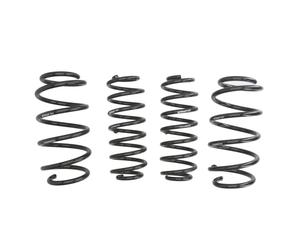 Molla del telaio EIBACH Pro-Kit E10-79-001-05-22