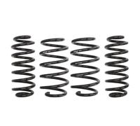 Molla del telaio EIBACH Pro-Kit E10-79-004-02-22