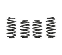 Molla del telaio EIBACH Pro-Kit E10-85-002-09-22