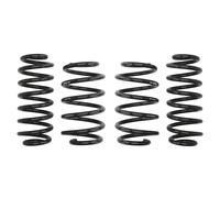 Molla del telaio EIBACH Pro-Kit E10-85-014-05-22