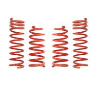 Molla del telaio EIBACH Pro-Kit E1023-140