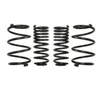 Molla del telaio EIBACH Pro-Kit E1516-140