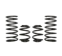 Kit molle sospensione con perizia E2003-140 EIBACH per BMW 3
