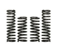 Molla del telaio EIBACH Pro-Kit E2506-140