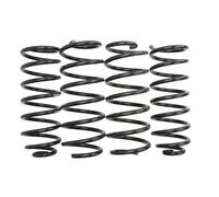 Molla del telaio EIBACH Pro-Kit E8410-140