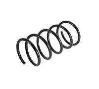 KYB RA1874 Molle ammortizzatori