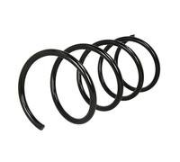 KYB RA3104 Molle ammortizzatori