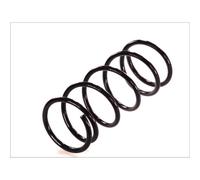 KYB RA5761 Molle ammortizzatori