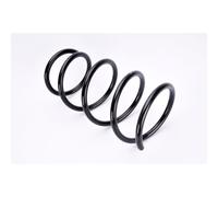 KYB RG1141 Molle ammortizzatori